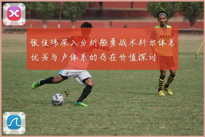 张佳玮深入分析船勇战术科尔体系优劣与卢体系的存在价值探讨
