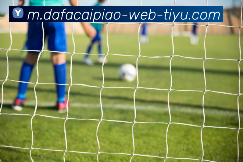 大发彩票APP 封面图